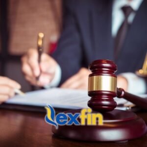 Procedimiento judicial Laboral para Empresa o Empleadores